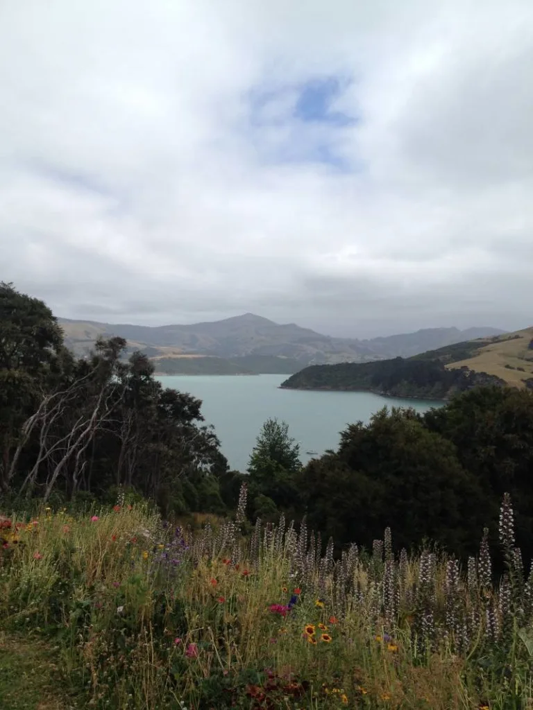 Bay view Summit Road