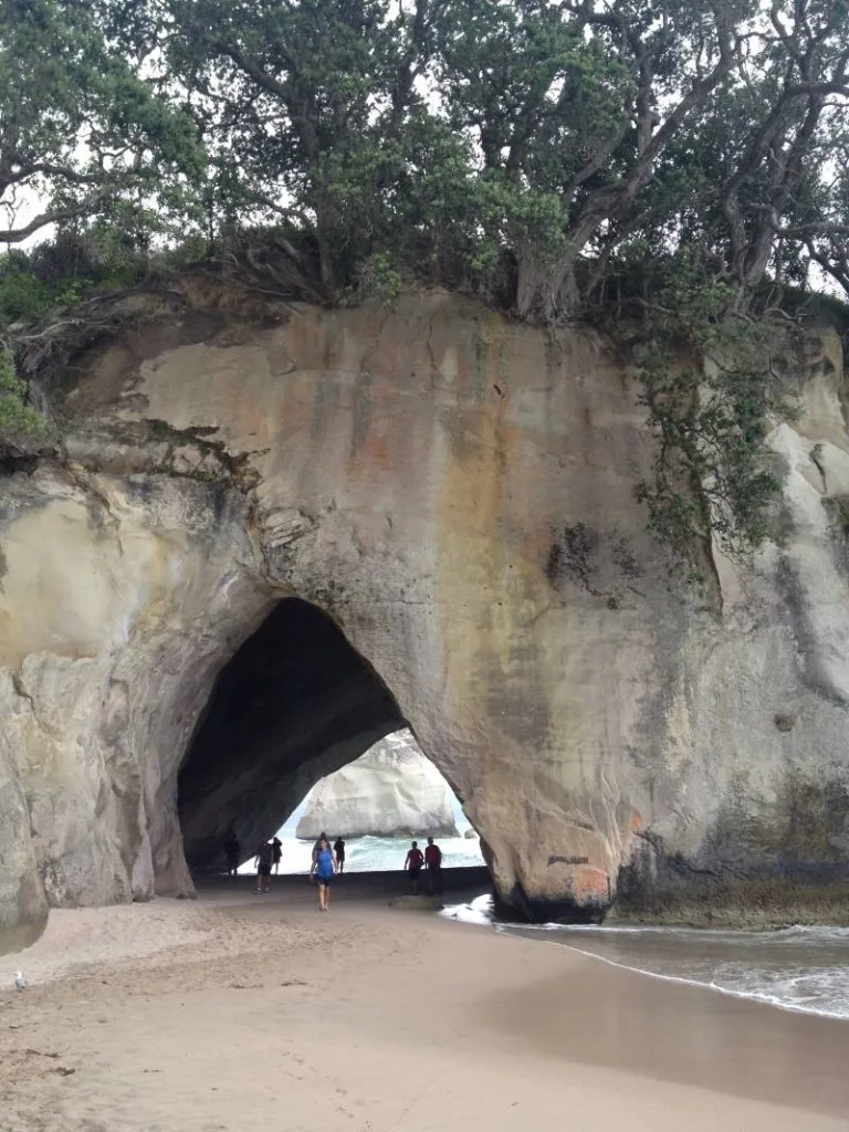 Cathedral Cove Coromandel New Zealand