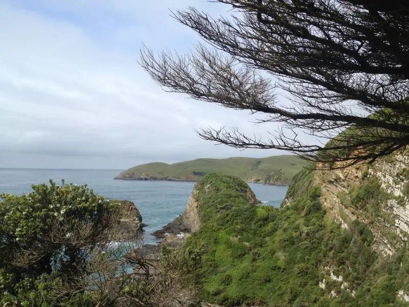 Coastal view on Jacks Blowhole hike