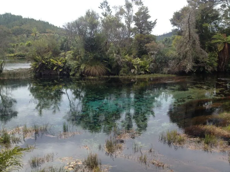 Pupu Springs Te Waikoropupū Springs