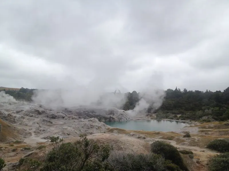 Whakarewarewa geyser