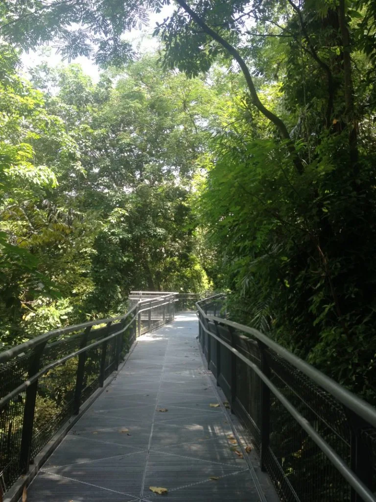 The Southern Ridges Walk - Mount Faber Singapore