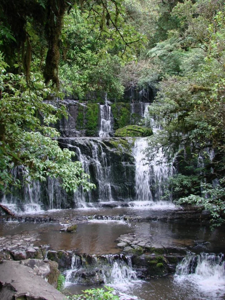 Purakaunui Falls Walk in the Catlins, New Zealand