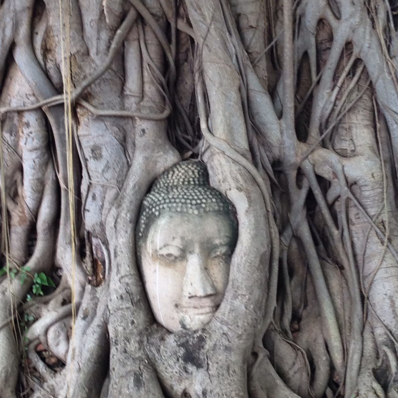 Wat Mahathat Ayutthaya Thailand