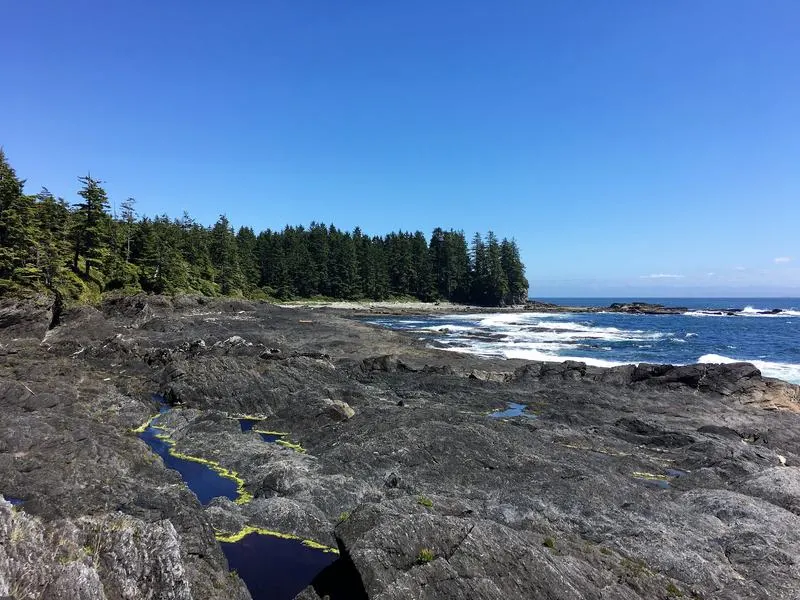 Botanical Beach Loop Trail in Port Renfrew