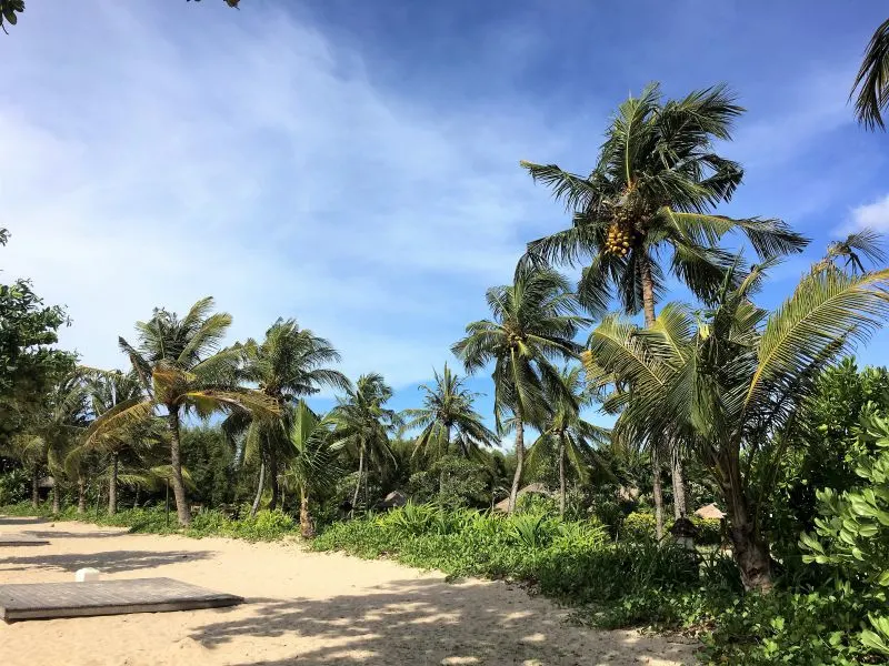 Beautiful beach in Jimbaran, Bali