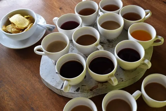 Basanta Coffee Plantation - coffee tasting
