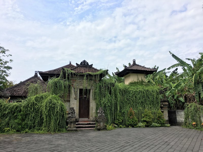 Building covered in green plants in Sanur Bali