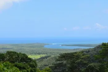 Mount Alexandra Lookout - road trip to Cape Tribulation