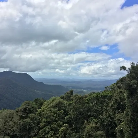 Dorrigo Rainforest Skywalk