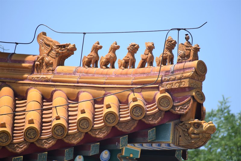 Stone dragons in the Forbidden City Beijing