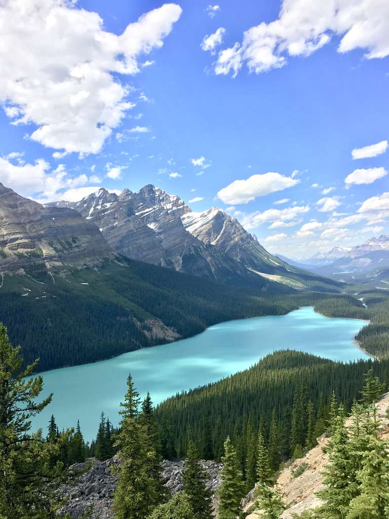 Peyto Lake - Rocky Mountains Canada