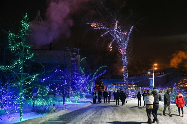 11 Things To Do In Calgary In Winter: Calgary Winter Guide