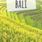 the-perfect-2-week-bali-itinerary-phenomenalglobe .com